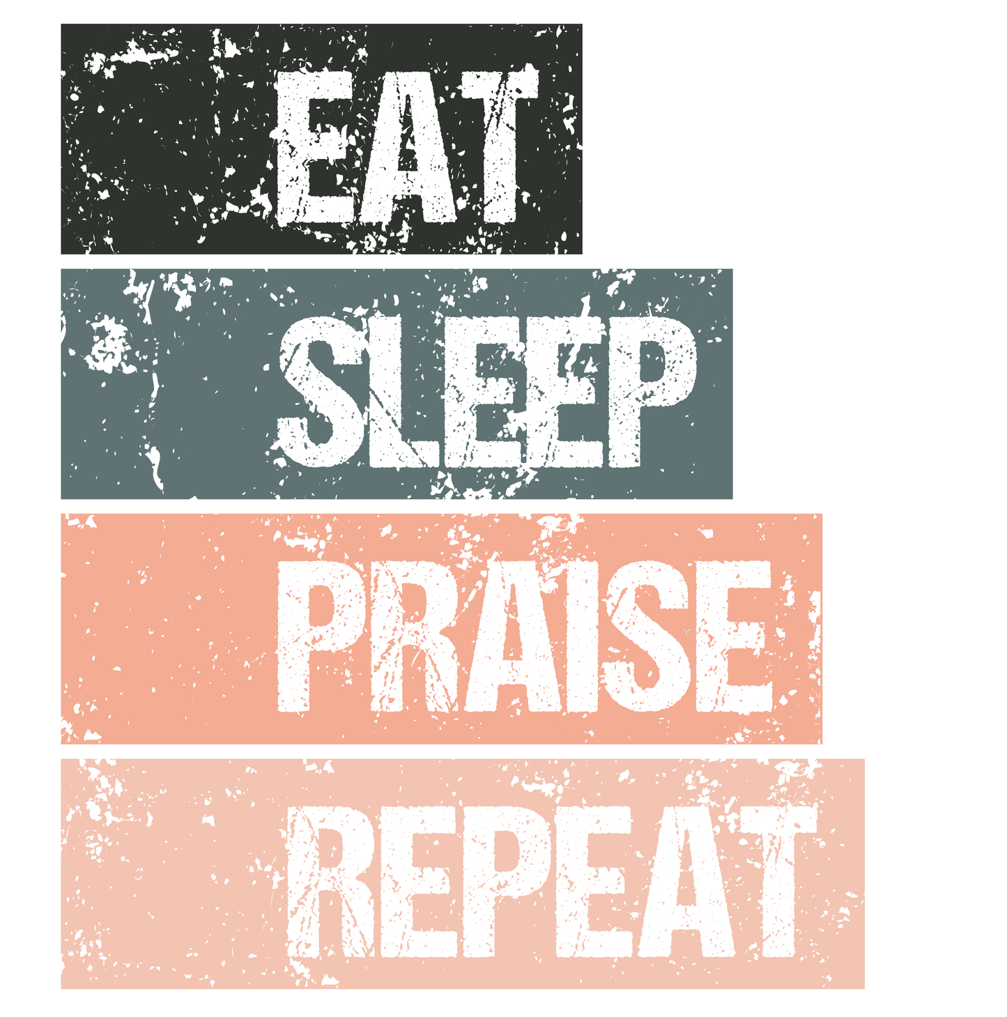 Eat Sleep Praise Repeat T-shirt