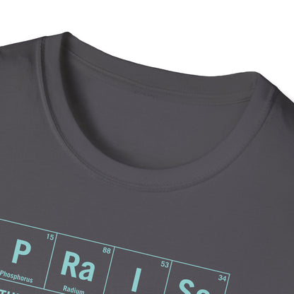 Praise Element T-shirt