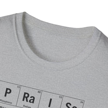 Praise Element T-shirt