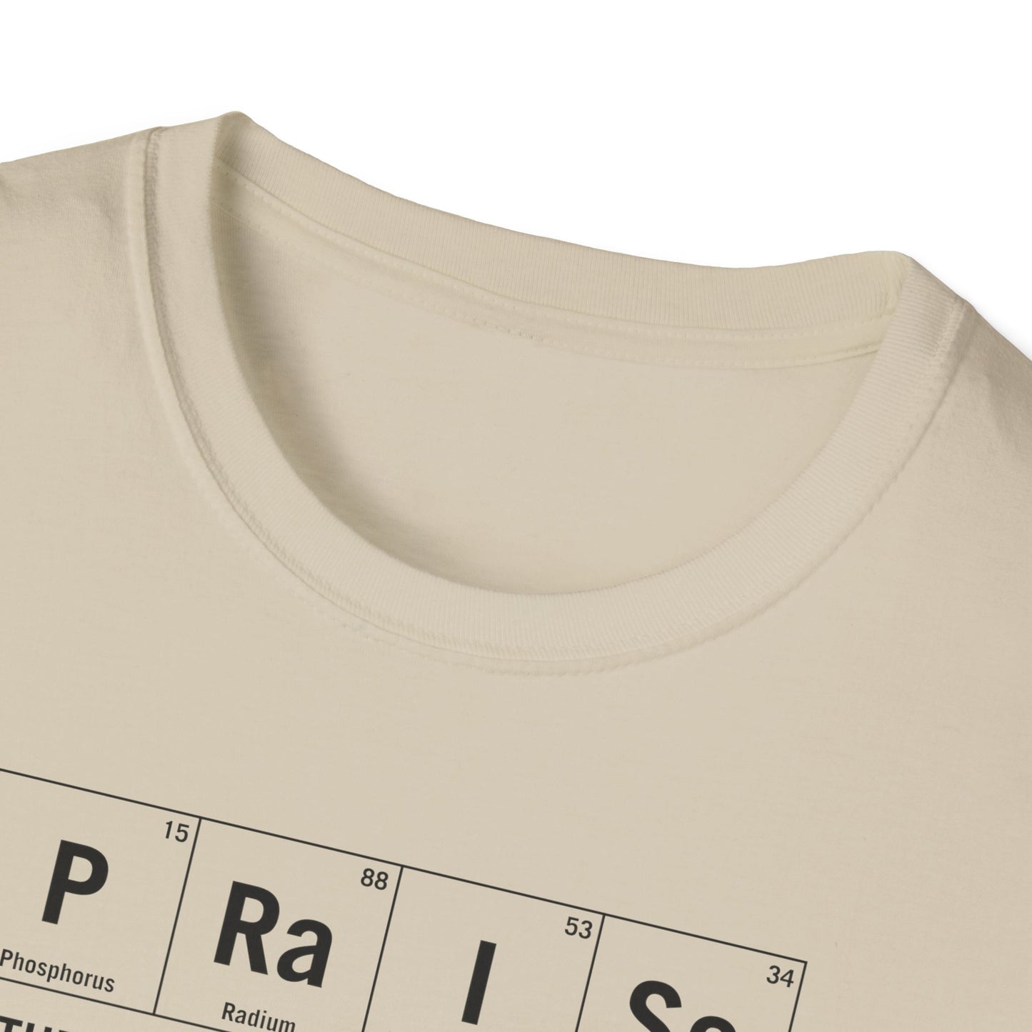 Praise Element T-shirt